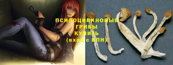 спайс Щигры