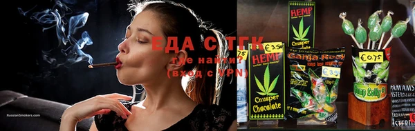 спайс Щигры