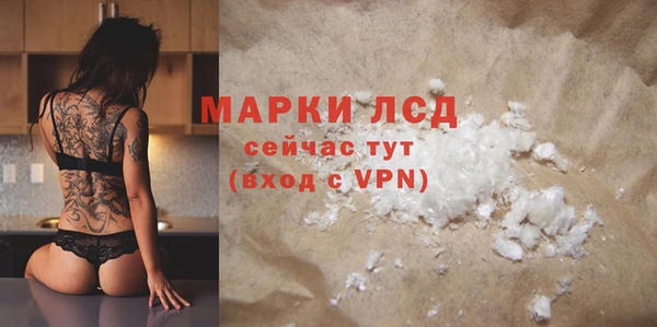 гидра Шадринск