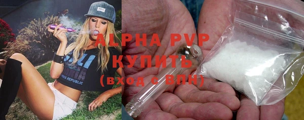 спайс Щигры