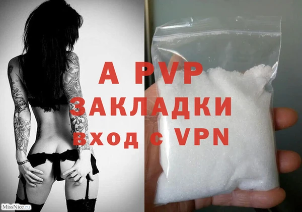 спайс Щигры