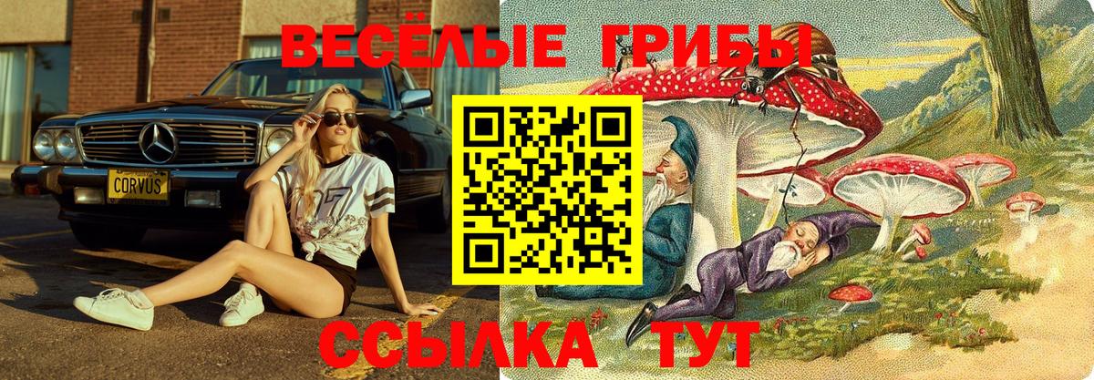 Галлюциногенные грибы прущие грибы Иркутск